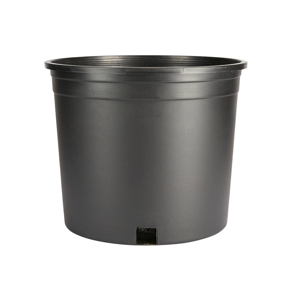 Style Selections 10.25-in W x 8.8-in H Black Plastic Hanging Nursery Planter